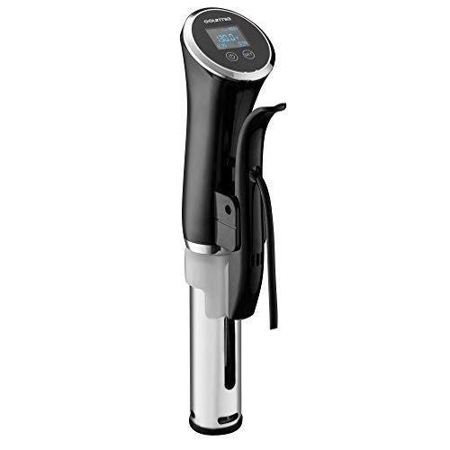 Gourmia Sous Vide GSV138 Reviews Updated January 2024