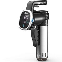 Wancle Sous Vide SVC001 Review